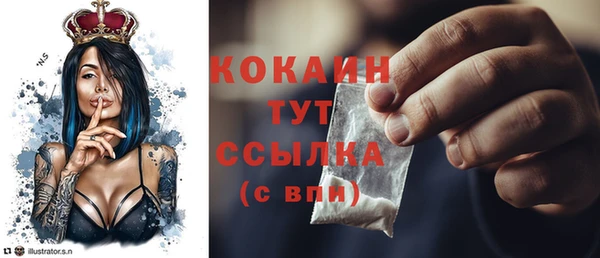 PSILOCYBIN Козловка