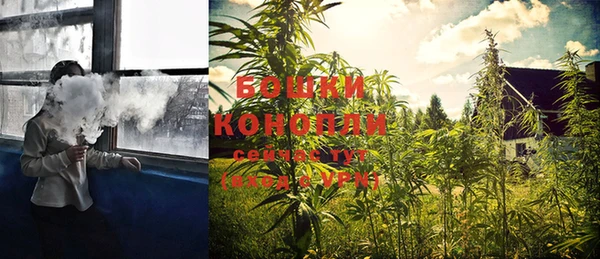 PSILOCYBIN Козловка