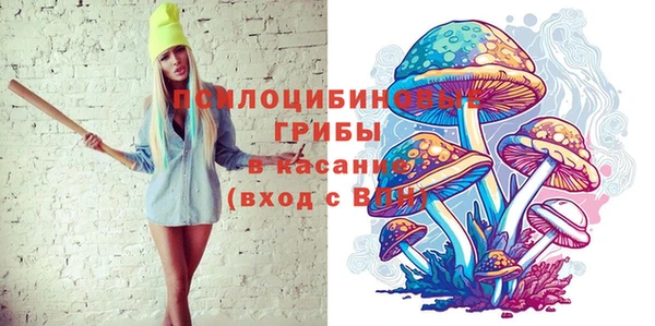 PSILOCYBIN Козловка
