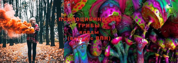 метадон Кодинск