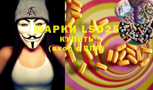 PSILOCYBIN Козловка
