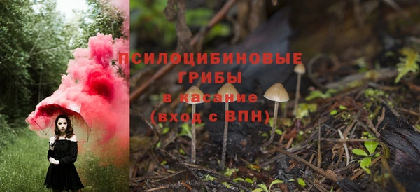 метадон Кодинск