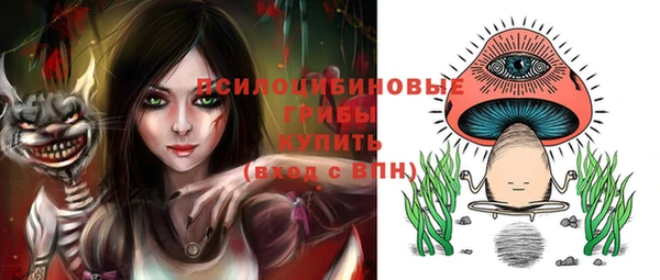 PSILOCYBIN Козловка